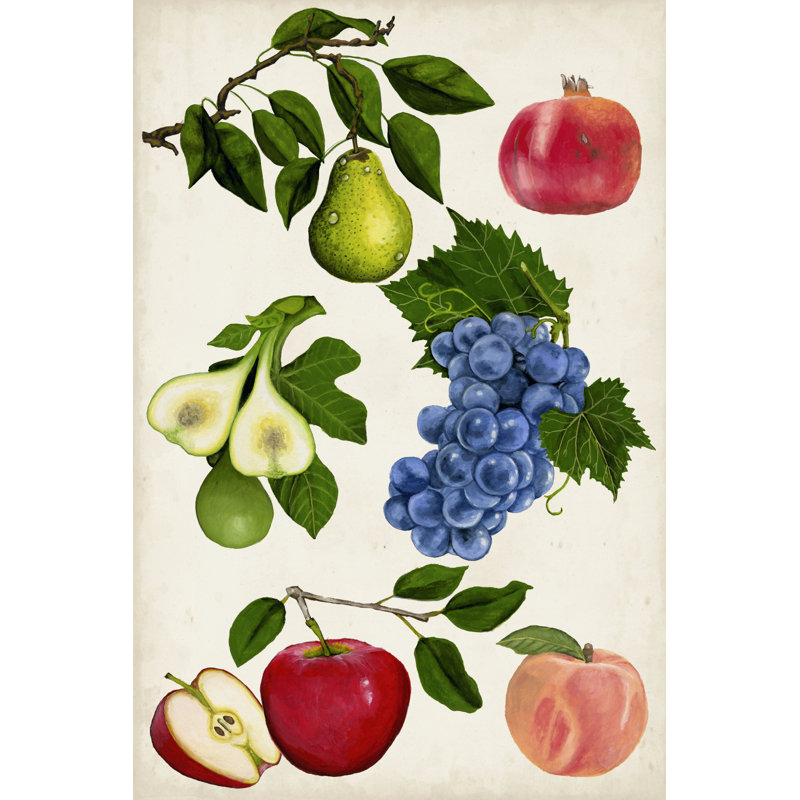 Fruit Collection I by Naomi McCavitt -  Graphic Art, Wrapped Canvas, 91 cm H x 61 cm W