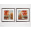 «Autumns Grace», ensemble de 2 reproductions encadrées-27611476