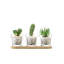Round Glass Planter