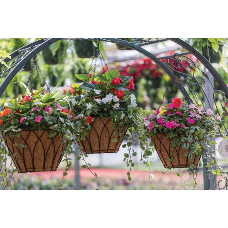 Pot de fleurs en métal Lotus, H 7 po x l 12 po x P 12 po