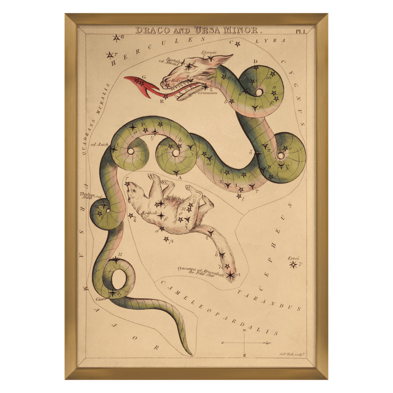 Draco Print by Grand Archives, Gold Framed, 32" H x 23" W