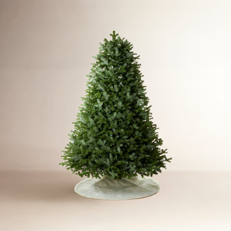Sapin de Noël Fraser pré-éclairé, 7.5'