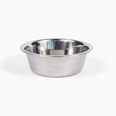 Small Clear Elevated Feeder with Silver Bowls
