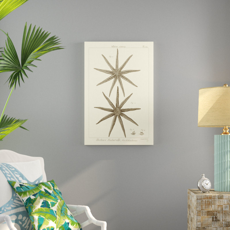 Striking Starfish III - Graphic Art, 91cm H x 61cm W, Wrapped Canvas