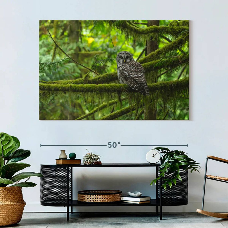 Brampt Mossy Tree Owl, 34" H x 51" W