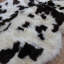 Anavilhanas One-of-a-Kind Sheepskin Rug