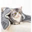 Petite courtepointe pour animal de compagnie-99190945