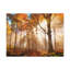 No Frame Print on Canvas-1626906356