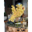 Cymbidiums In Moon Vase-332097416