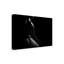 Figurine par Paolo Medeiros - Photographie sur toile tendue-631931139