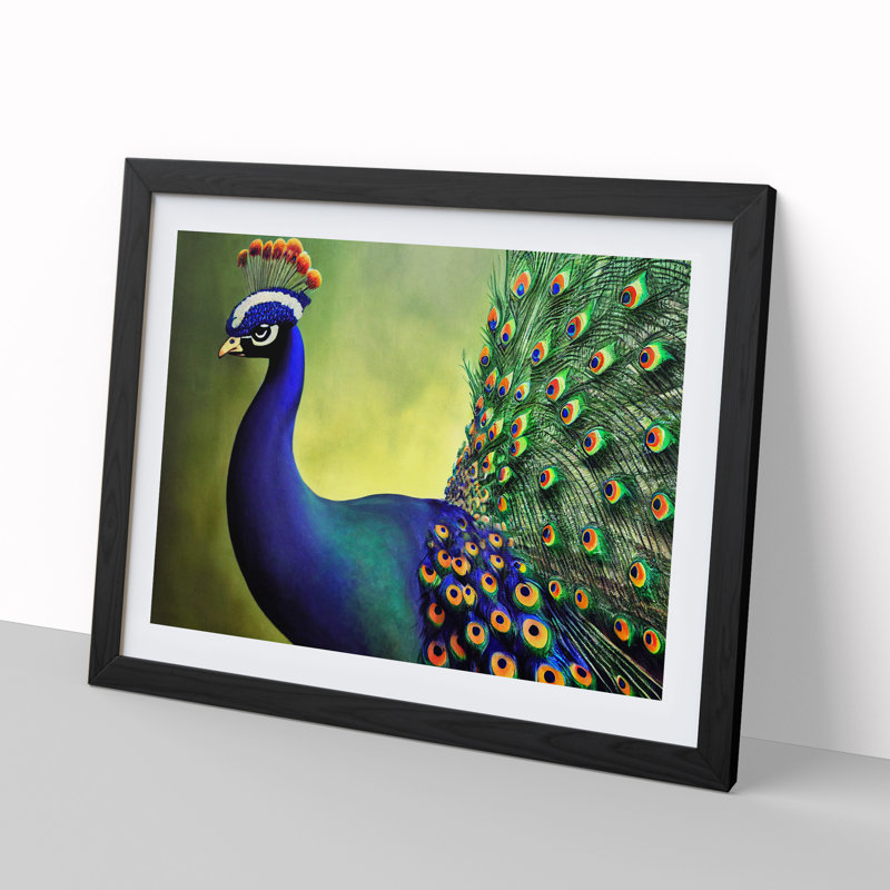 Fine Peacock - Single Picture Frame Print, Black Framed, 25cm H x 34cm W x 2cm D