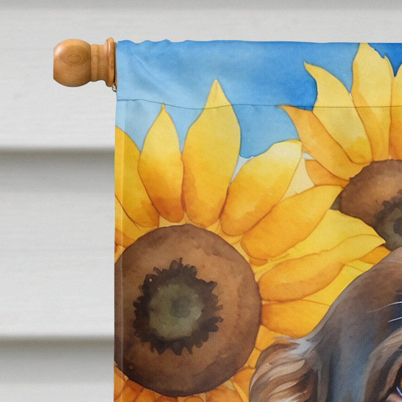 Drapeau de la maison du tournesol Malamute d'Alaska, Épagneul Boykin