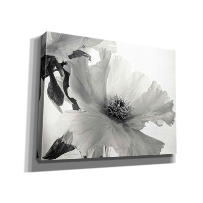 "Latitude Run®" Translucent Peony VIBW "par Debra Van Swearingen, art mural sur toile