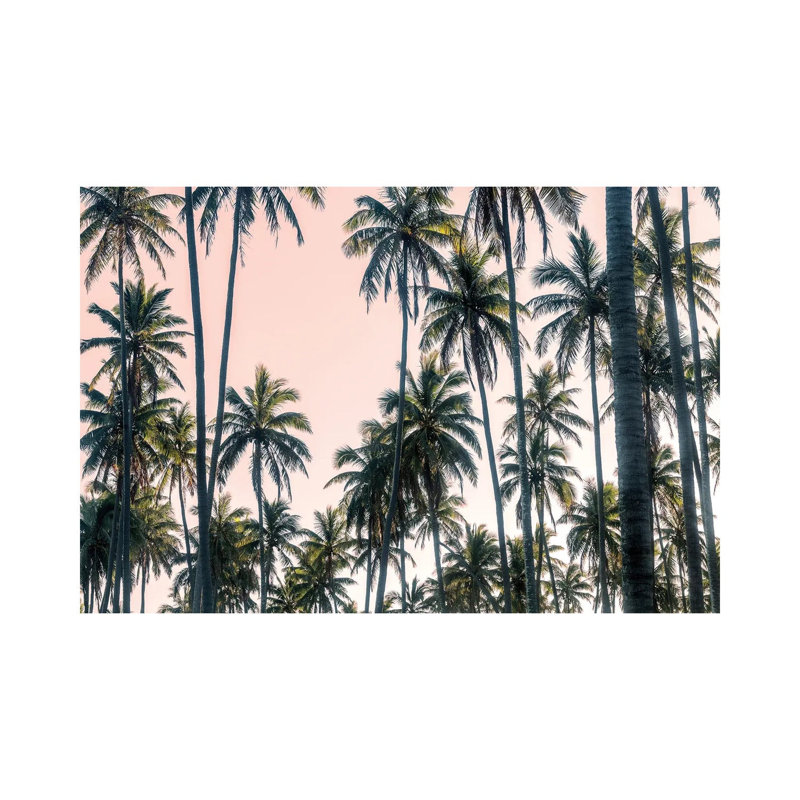 Palms View On Pink Sky by Andy Amos - Wrapped Canvas Gallery-Wrapped Canvas Giclée, 20.32 cm H x 30.48 cm W