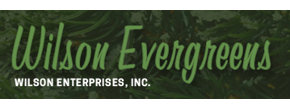 Wilson Enterprises, Inc. Logo
