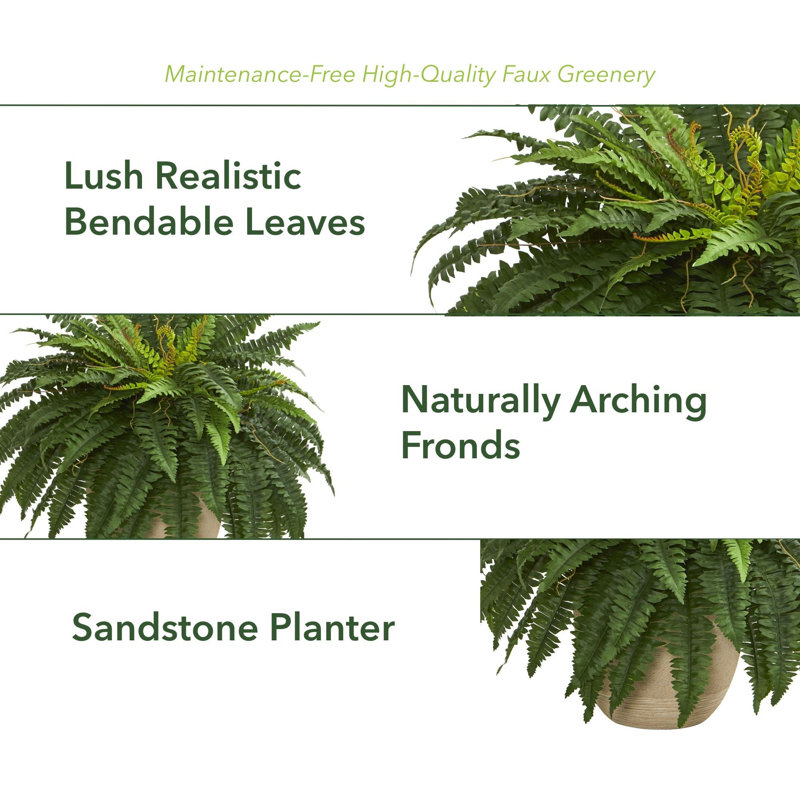 Artificial Fern Plant in Pot, 22" H x 30" W