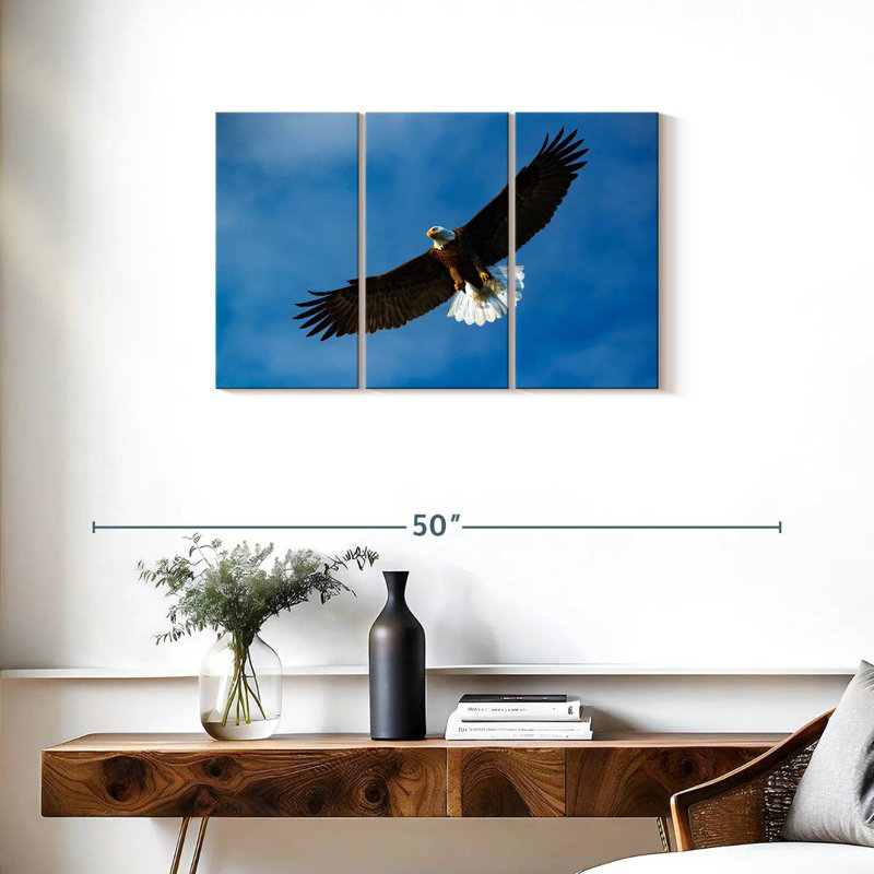 Brampt Eagle From Below, 20" H x 33" W