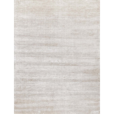 Area Rug in Beige