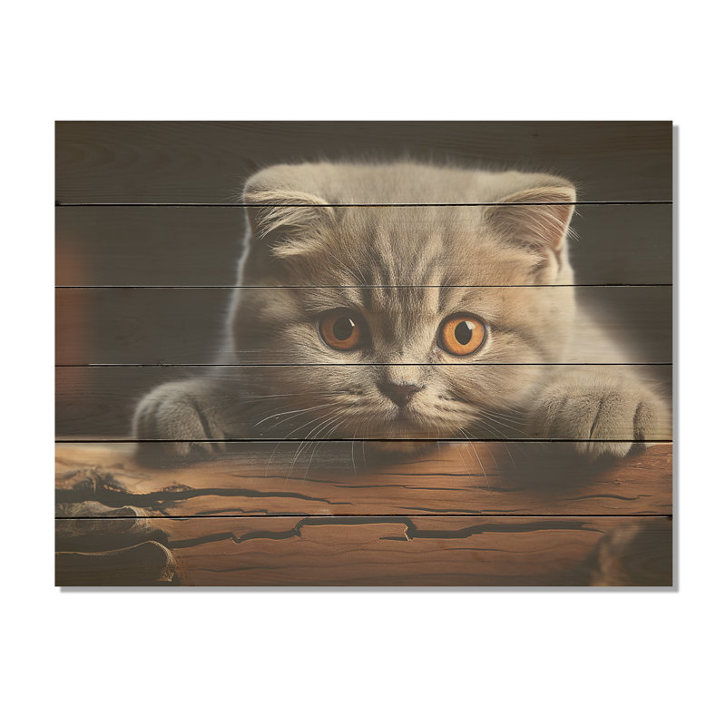 Mignon chat écossais pliant sérénité - art mural en bois sur bois de pin naturel, H 24 po x l 32 po