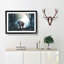 Elephant Roaming in a Green Forest - Picture Frame Graphic Art Print-56713201-56713205