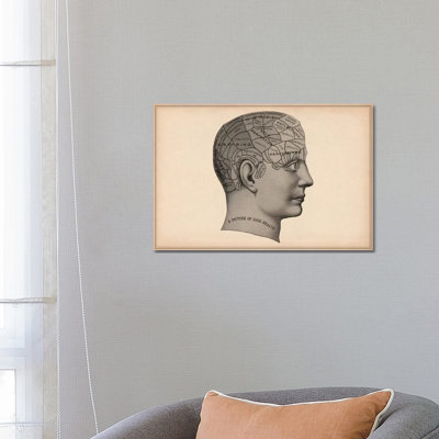Phrenology Human Head - Wrapped Canvas Print