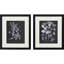 Mono Botanicals II S/2 Print by Libby Langdon Paragon