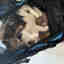 Photos des clients 1 de 1