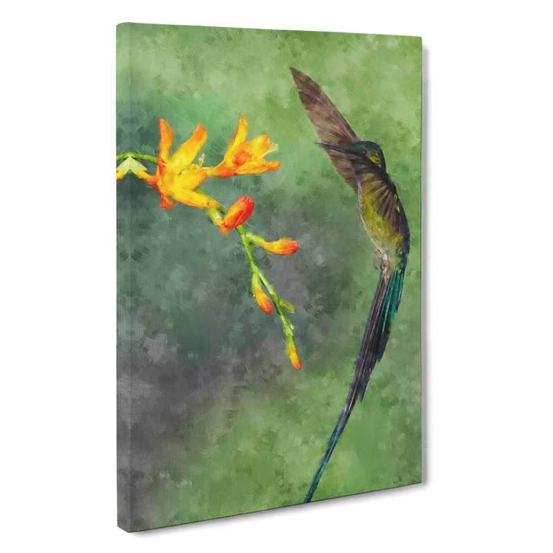 Hummingbird - Wrapped Canvas, 76cm H x 50cm W x 3cm D