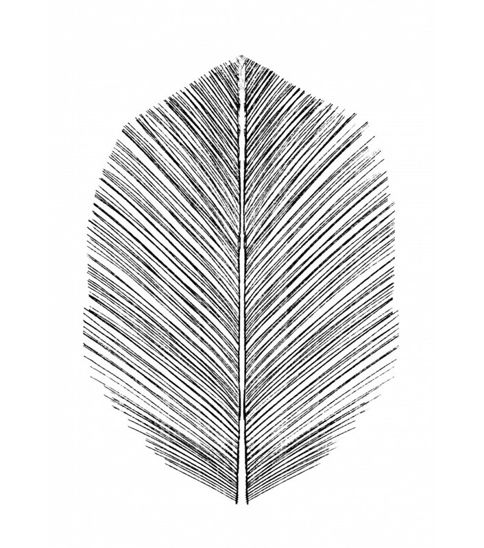 Wrapped Canvas Print, 76.2cm H x 50.8cm W