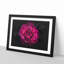 Fuscia Pink Carnation - Picture Frame Graphic Art Print-56863276-56863277