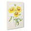 Yellow Blanket Flowers by Pierre-Joseph Redoute - Wrapped Canvas-55319948