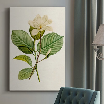 Magnolia Flowers I, toile tendue avec châssis de qualité supérieure - prête à être accrochée