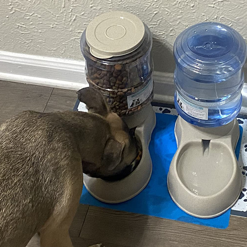 Mangeoire automatique Bowl Puppy