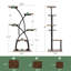Plant Stand - Set of 8