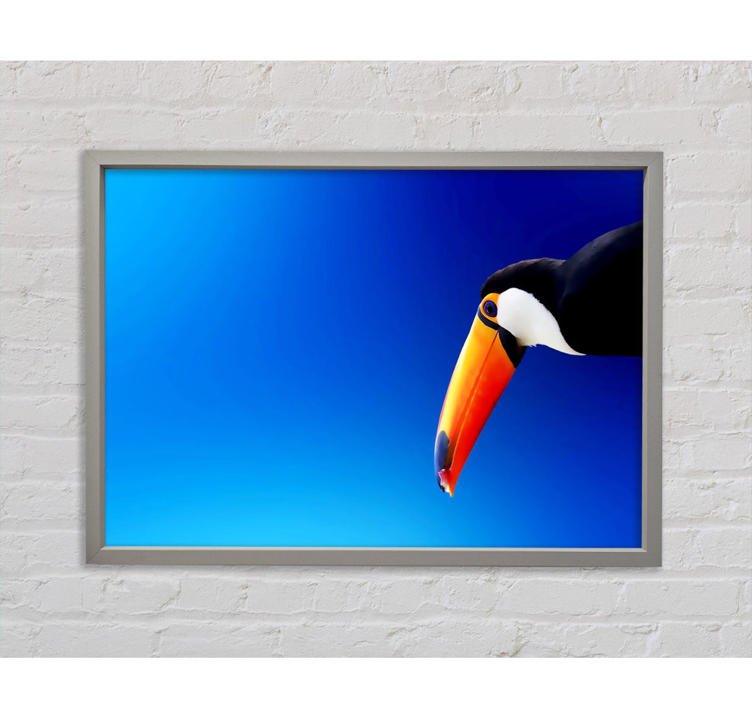 Tucan Beauty - Einzelner Bilderrahmen Kunstdrucke auf Leinwand