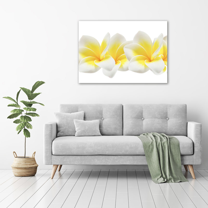 Plumeria - No Frame Print on Glass