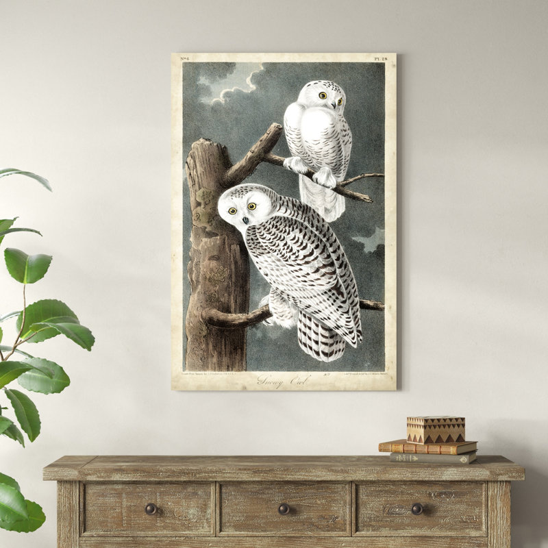 Audubons Harfang des neiges, H 48 po x l 32 po x P 1,25 po
