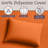 3-Piece Brushed Microfiber Sheet Set - Bedding with Wrinkle and Stain-Resistant Fitted and Flat Sheets Plus Pillowcase by Lavish Home-19700057-19700062