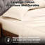 Taie d'oreiller en mélange de coton égyptien 400 fils Luxor Treasures-175140166-175140162