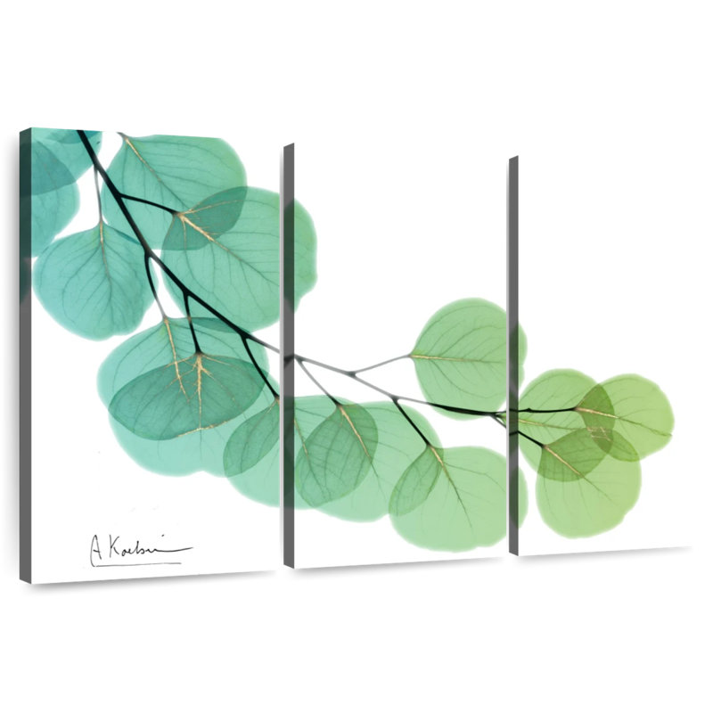 Harnek Golden Eucalyptus, 48" H x 74" W