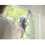 Aspirateur balai Powerclean®
