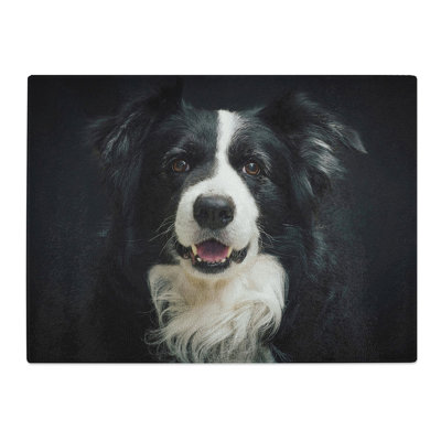 Border Collie Dog .  Glass Chopping Board
