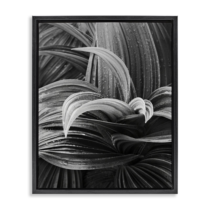 «Wet Leaves» par Chip Forelli, Cadre flottant noir de jais, H 21 po x l 17 po