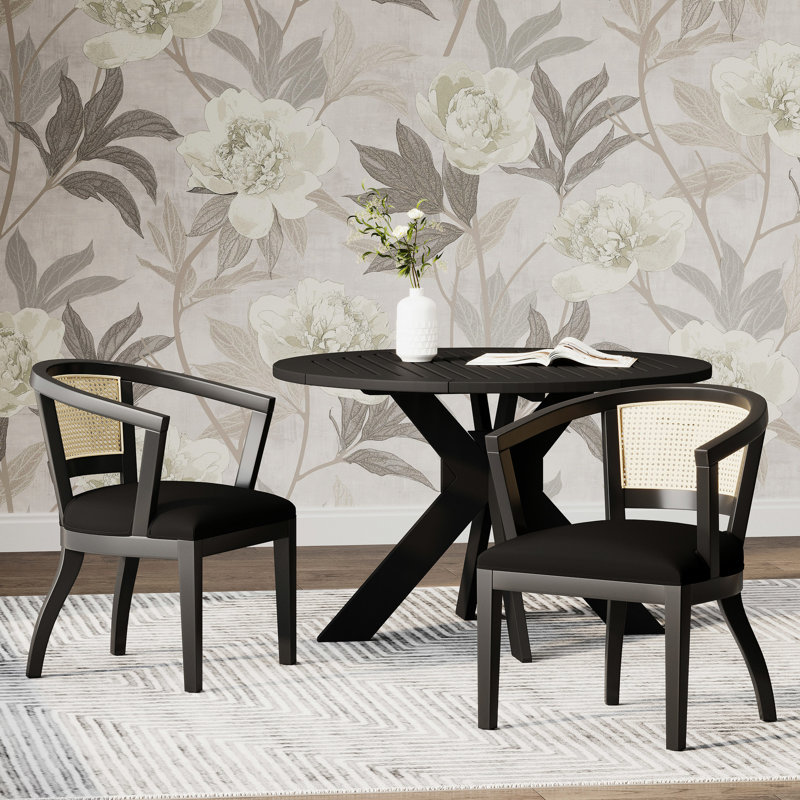 De 2 chaises de salle à manger, revêtement en velours noir, sangle de canne, structure en bois d'hévéa, l 23,5 po x P 23 po, H 2