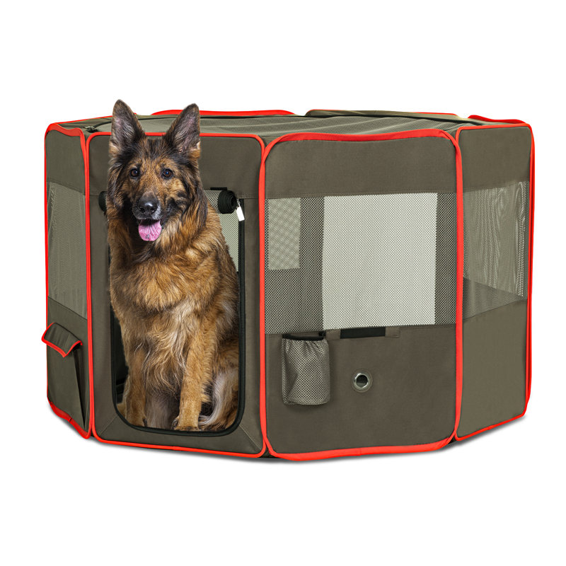 Caisse pour animaux amovible, Moyen (H 28,5 po x l 41,5 po x P 41,5 po), Vert/rouge