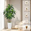Arbre Dracaena artificiel 6 pi