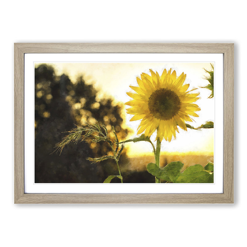 Sunflower Vol.2 - Picture Frame Painting, Oak Framed, 48cm H x 65cm W x 2cm D