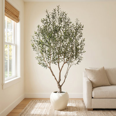 Alvina 96" Olive Tree in Pot