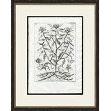 Rooted Plant II Painting