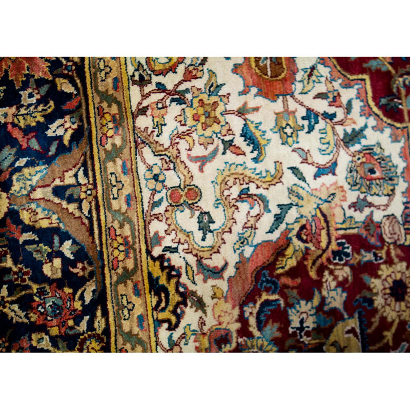 Sona Oriental Area Rug